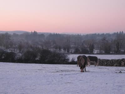 Mountain View Guesthouse