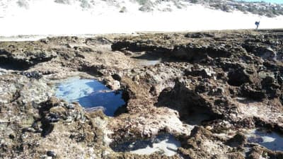 Bluesky Guest House Arniston