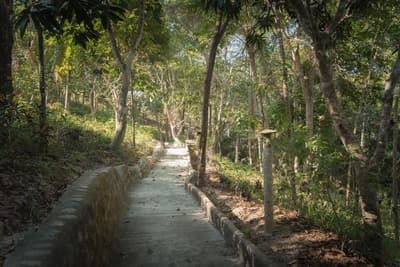 Atremaru Jungle Retreat