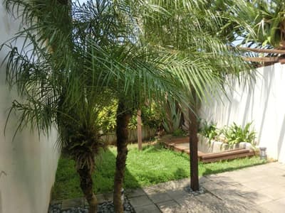 Pangola B&B