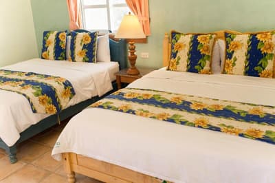 Avignon B&B