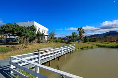 Wild Island B&B
