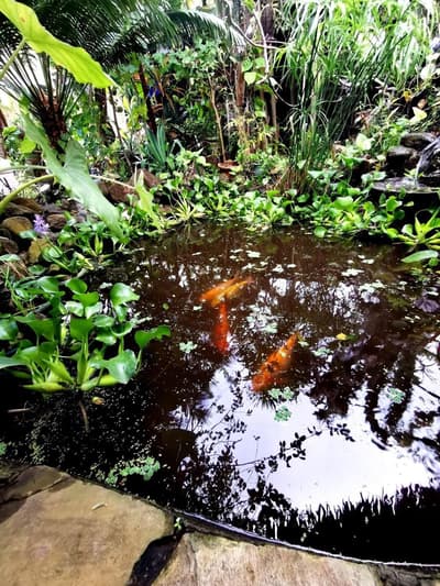 Hôtel Fenua Mata'i'oa