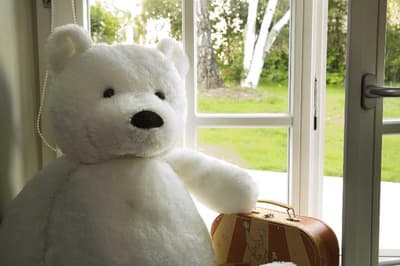 Boutique Hôtel des XV