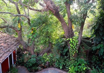 Marbella Guest House