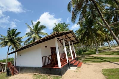 Darwins Beach Resort