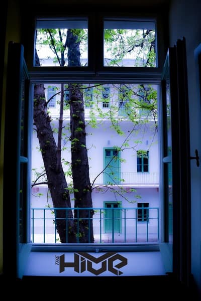 The Hive Party Hostel