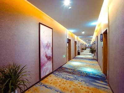 Vx Changzhou Jintan District Red Star Macalline Ho