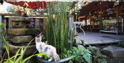 Song Hua Ju B&B