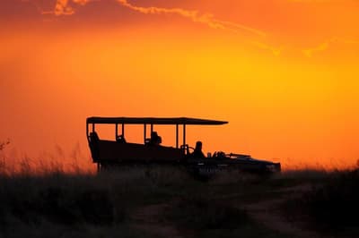 Shamwari Bayethe