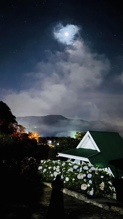 Hortensias Chalets Vara Blanca