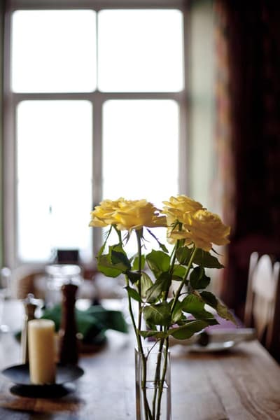 North Walk House - B&B