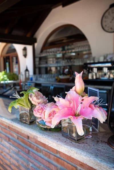 Paloma Blanca Boutique Hotel