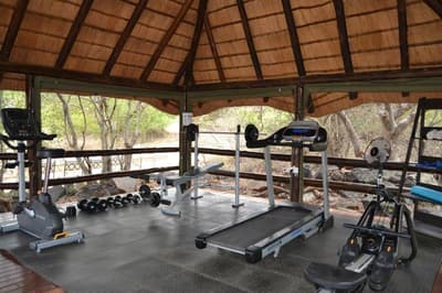 Nyati Safari Lodge