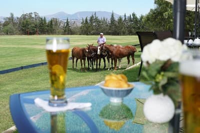 Quito Polo Club S.A
