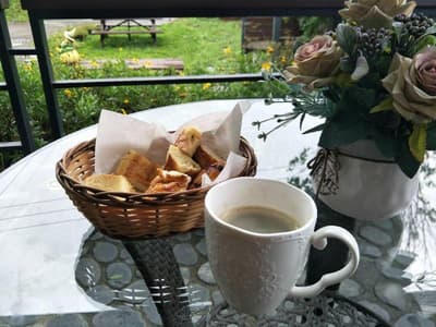 Flower And Star Garden