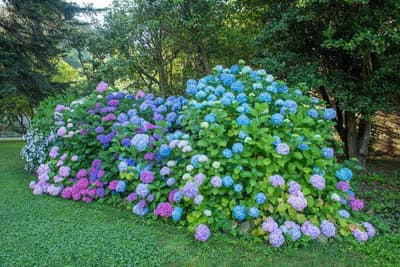 Relais Corte Rodeschi