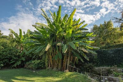 Relais Corte Rodeschi