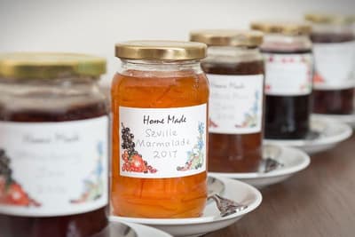 Ammonite Lodge Guest House