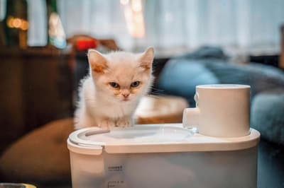 HE Hotel Xi'an South Gate