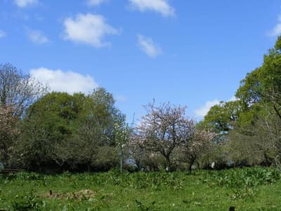 Chateau De Flottemanville