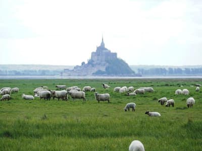Les Vieilles Digues