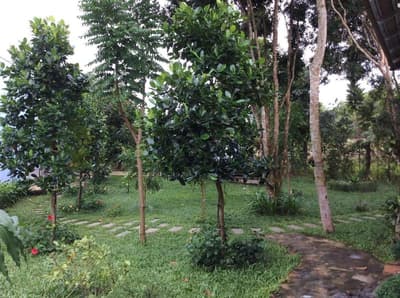 Eco Spring Phu Quoc Villa