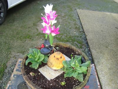 The Farmhouse Lochmeyler