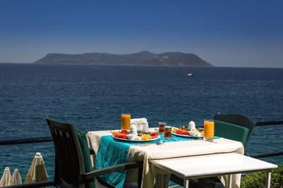 Sardunya Andifli Otel