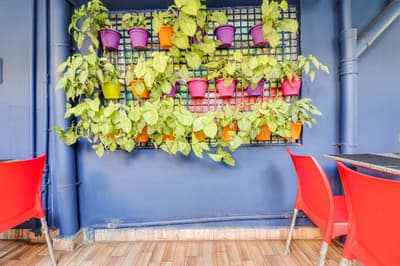 OYO 78627 Collection O Green Tree