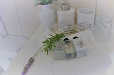 Cherry Berry Guest House