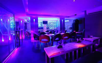 Hotel Vip International