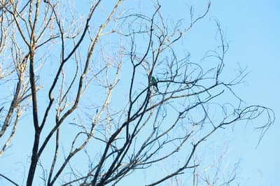 Pinthaliya Resort & Spa