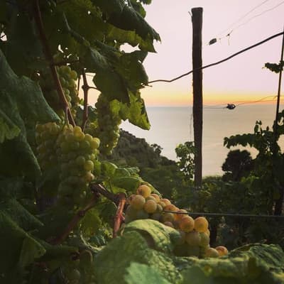 il Magàn - Cinque Terre