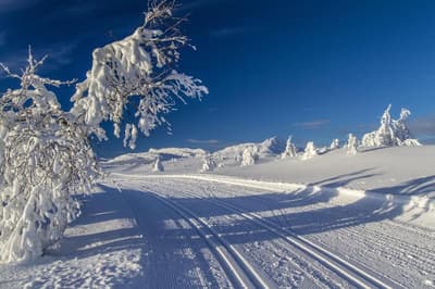 Radisson Blu Resort, Beitostolen