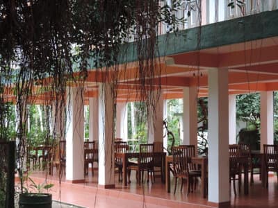 Rainforest Lodge