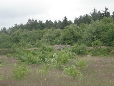 Kleines Landhotel Rehedyk