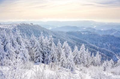 Hapimag Resort Unterkirnach