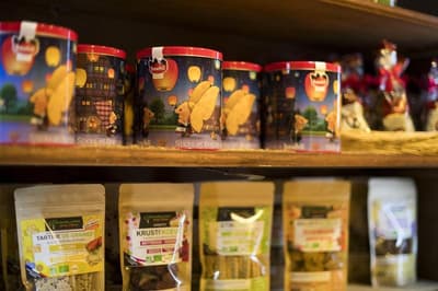 Maison d'Accueil du Très-Saint-Sauveur