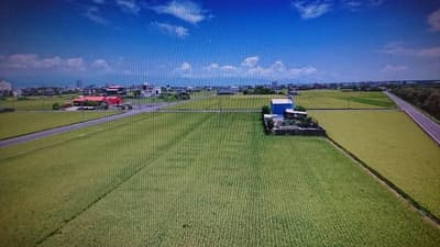 St. Petersburg Manor