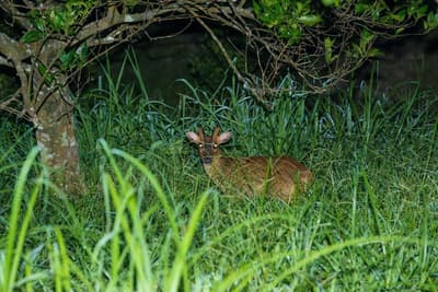 Juhu Farmstay