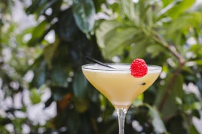 Le petit Cosy Hôtel