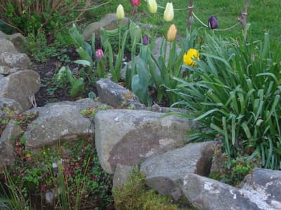 Hotel Rural La Llosa De Samano