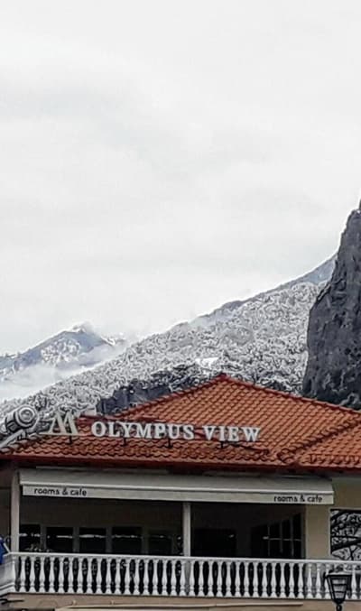 Olympus View