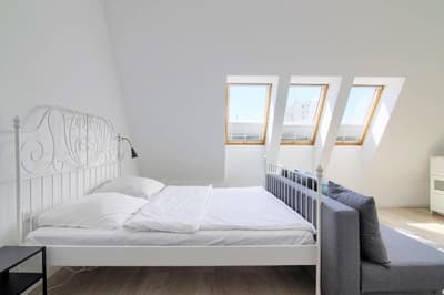 Apartments in Szczecin - Plater