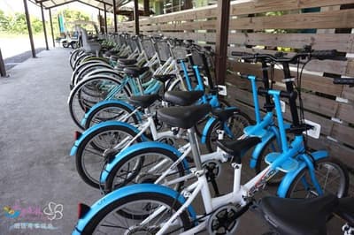 River Forest Leisure Farm