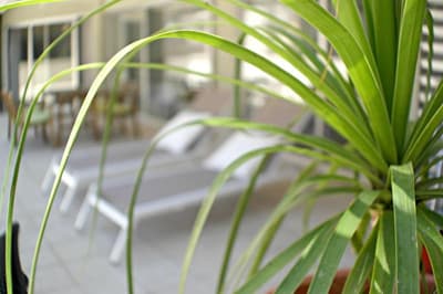 Eden Beach Apartments