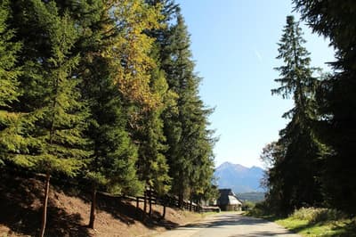 Hotel Tatry - POLSKIE TATRY S.A.