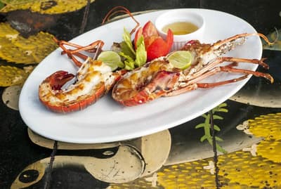 Cormier Plage Resort