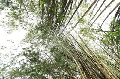 Nooit Gedacht Heritage Hotel-Original Dutch Govern